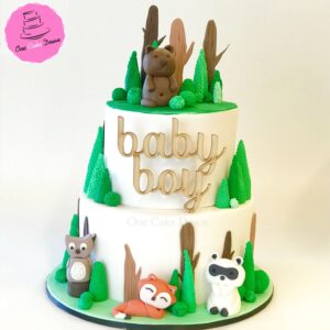 Baby Boy cake forest themed